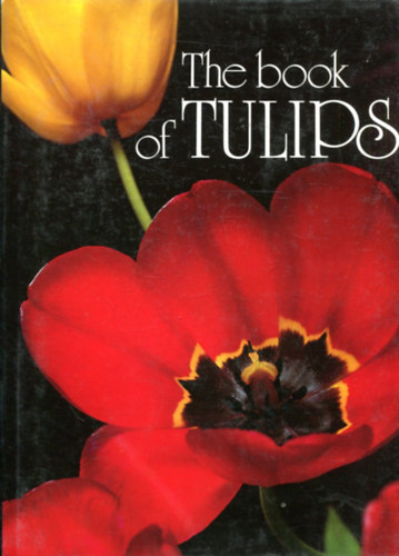 Ruth Bucham - The Book of Tulips