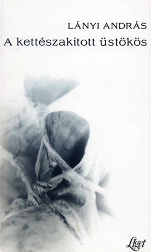 Lányi András - A kettészakított üstökös