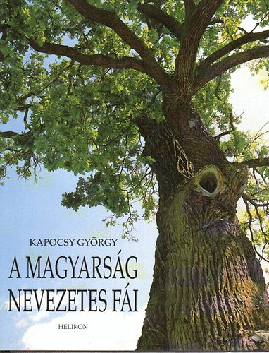 Kapocsy Gyrgy - A magyarsg nevezetes fi