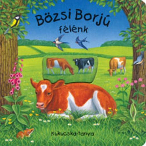 Bzsi Borj flnk - Kukucska-tanya sorozat
