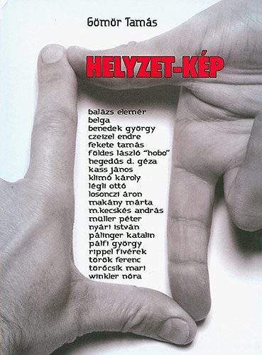 Gömör Tamás - Helyzet-kép