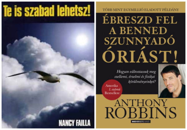 Nancy Failla Anthony Robbins - breszd fel a benned szunnyad rist! - Hogyan vltoztassuk meg szellemi, rzelmi s fizikai krlmnyeinket? + Te is szabad lehetsz! (2 m)