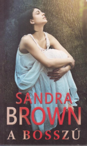 Sandra Brown - A bossz