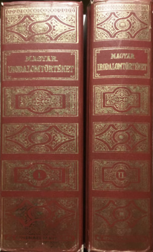Bethy Zsolt - Magyar irodalomtrtnet I-II.