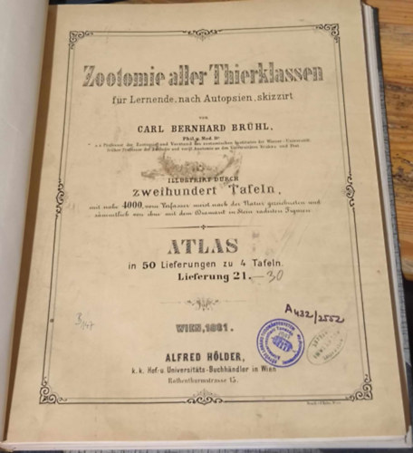 Carl Bernhard Brhl - Zootomie aller Thierklassen: fr Lernende, nach Autopsien skizzirt (1881) - Atlas in 50 Lieferungen zu 4 Tafeln - Lieferung 21-30.