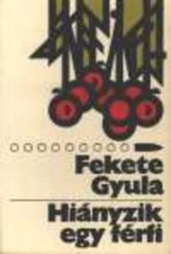 Fekete Gyula - Hiányzik egy férfi