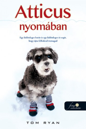 Tom Ryan - Atticus nyom�ban
