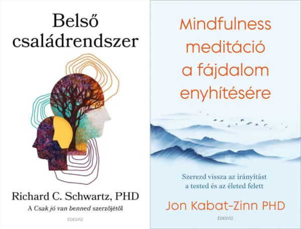 Jon Kabat-Zinn Richard C. Schwartz - 2 db könyv a boldogság eléréséhez: Belső családrendszer - A Csak jó van benned szerzőjétől + Mindfulness meditáció a fájdalom enyhítésére - Szerezd vissza az irányítást a tested és az életed felett