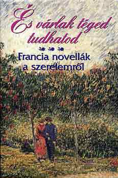 És várlak téged, tudhatod (francia novellák a szerelemről)