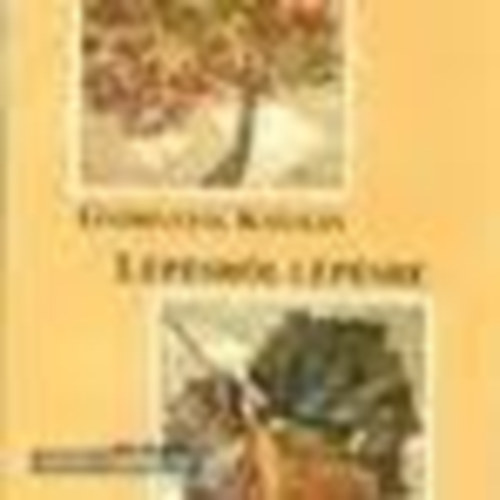 Gyrgypl Katalin - Lpsrl lpsre