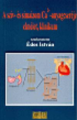 A sz�v- �s simaizom ca2+ -  anyagcser�je: