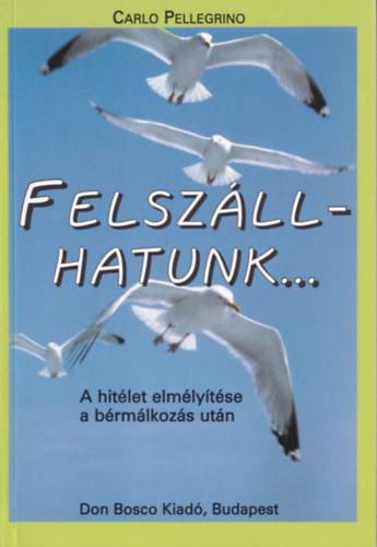 Carlo Pellegrino - Felsz�llhatunk... - A hit�let elm�ly�t�se a b�rm�lkoz�s ut�n