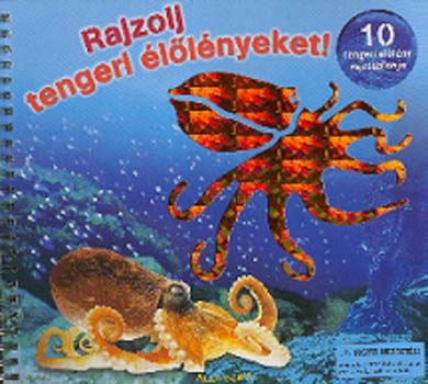 Rajzolj tengeri llnyeket!