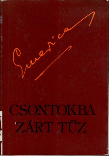 Dr. Somogyi Barnabs-szerkeszt - Csontokba zrt tz-Dr. Somogyi Imre(Emericus)lete s munkja