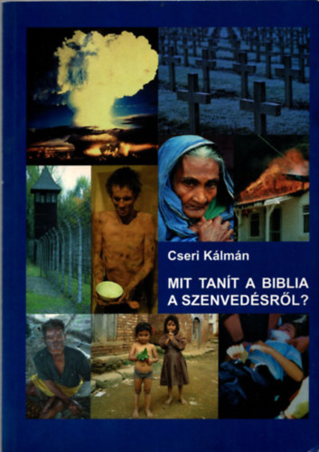 Cseri K�lm�n - Mit tan�t a Biblia a szenved�sr�l?