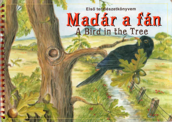 Madr a fn - A Bird in the Tree