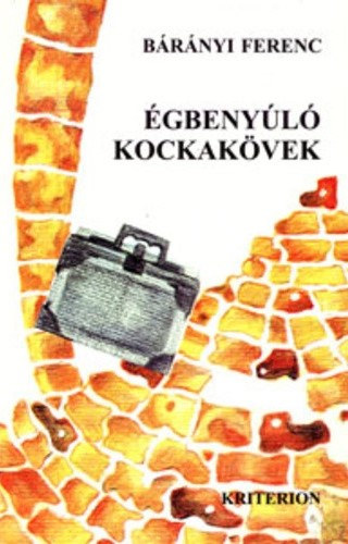 Brnyi Ferenc - gbenyl kockakvek