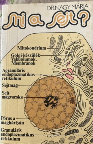 Dr. Nagy Mária - Mi a sejt?