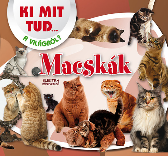 Macskk - Ki mit tud a vilgrl?