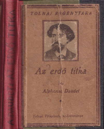 Alphonse Daudet - Az erd titka