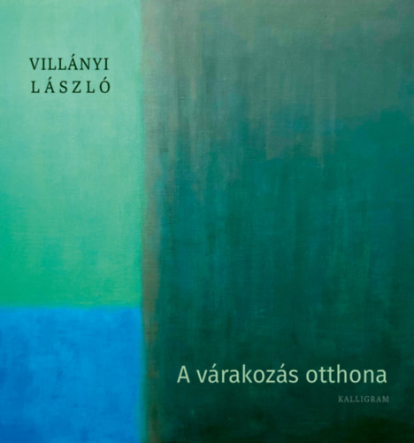 Villányi László - A várakozás otthona