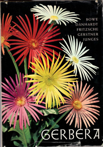 Bowe Danhardt - Gerbera