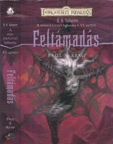 Paul S. Kemp - Feltmads - A pkkirlyn hborja VI. (Forgotten Realms)