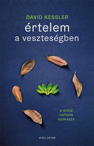 David Kessler - Értelem a veszteségben