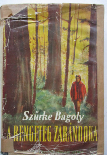 Grey Owl  (Szrke Bagoly) - A rengeteg zarndokai (Dr. Baktay Ervin fordtsa)