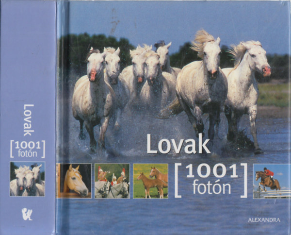 Rudel. Murielle  (szerk.) - Lovak- 1001 fot�n