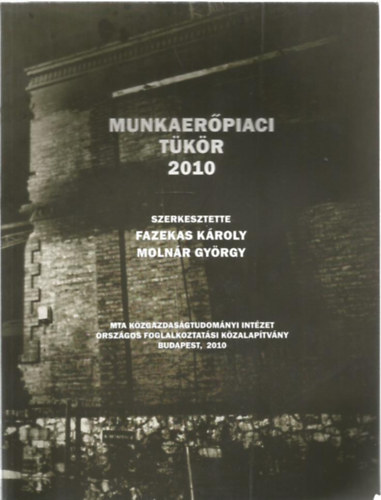 Fazekas Kroly; Molnr Gyrgy - Munkaerpiaci tkr 2010 - Kzelkp: A vlsg hatsai