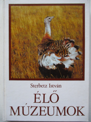 Sterbetz Istvn - l mzeumok