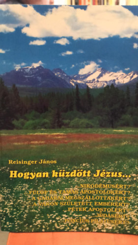 Reisinger J�nos - Hogyan k�zd�tt J�zus?