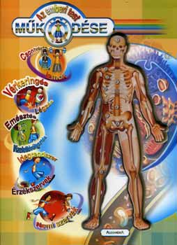 Steve Parker - Az emberi test m�k�d�se