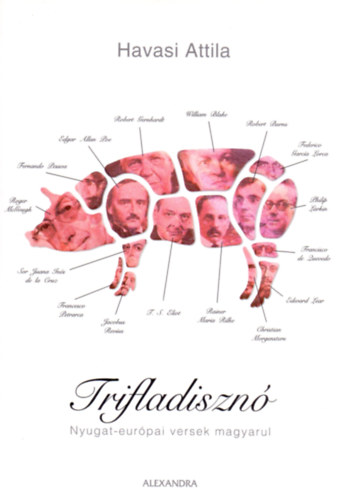 Havasi Attila - Trifladiszn