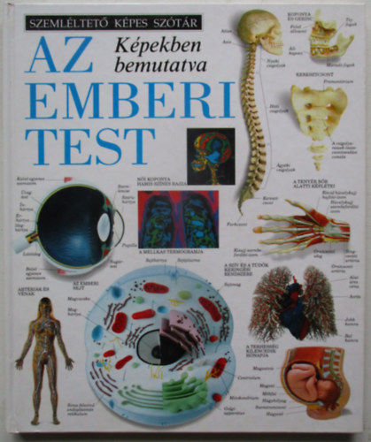 Chez Picthall - Az emberi test k�pekben bemutatva (Szeml�ltet� k�pes sz�t�r)