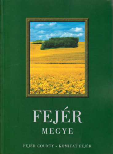 Dr. Fülöp Gyula - Fejér megye (magyar-angol-német)