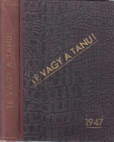 Pór Dezső-Zsadányi Oszkár - Te vagy a tanu! (Ukrajnától Auschwitzig)