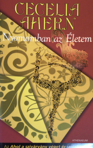 Cecelia Ahern - Nyomomban az letem