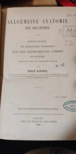 Ernst Haeckel - Generelle Morphologie der Organismen 1 (Az llnyek ltalnos morfolgija 1 nmet nyelven)