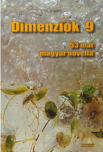 Dimenzik 9