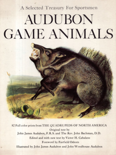 Audubon Game Animals from Quadrupeds of North America