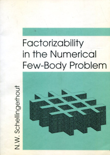 N. W. Schellingerhout - Factorizability in the Numerical Few-Body Problem