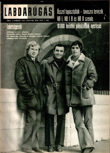 Hoffer J�zsef   (szerk) - Labdar�g�s 1973. XIX. �vfolyam 1-12. sz. (teljes )