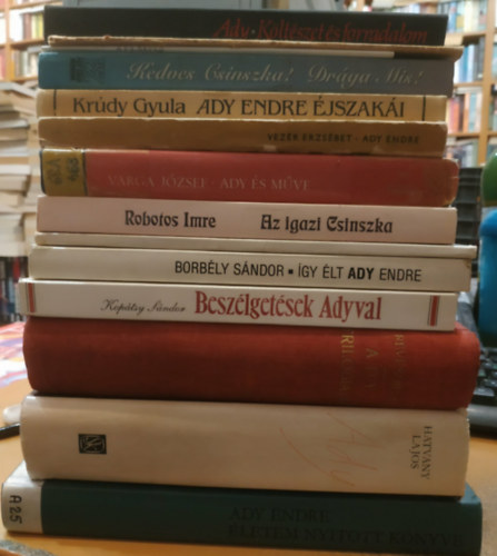 Ady Endre, Boncza Berta (Csinszka), Krúdy Gyula, Vezér Erzsébet, Varga József, Robotos Imre, Lukács György, Révész Béla, Kopátsy Sándor, Borbély Sándor, Hatvany Lajos, Losonci Miklós - 14 Ady Endre: Életem nyitott könyve; Ady (Cikkek, elemzések, levelek); Ady trilogiája; Így élt Ady Endre; Beszélgetések Adyval; Ady Emlékmúzeum; Költészet és forradalom