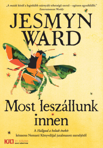 Jesmyn Ward - Most leszllunk innen