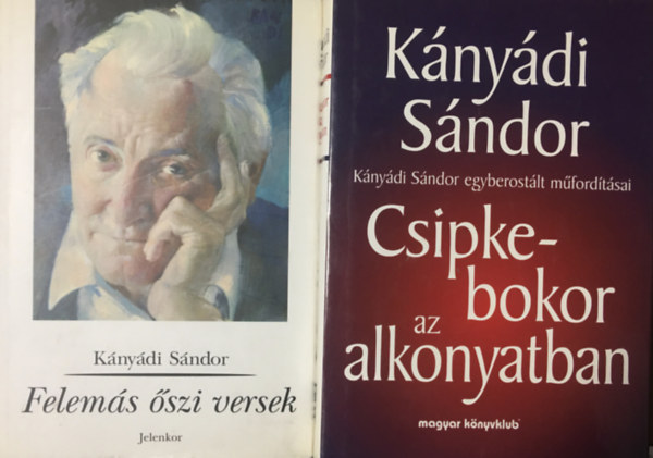 Knydi Sndor - Csipkebokor az alkonyatban + Felems szi versek (2 ktet)
