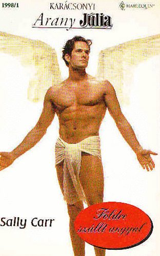 Sally Carr - Földre szállt angyal
