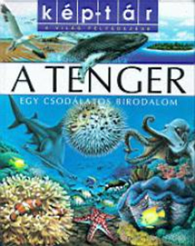 A tenger