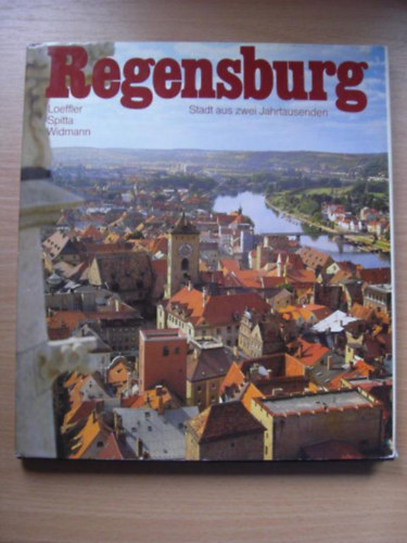 Regensburg. Stadt aus zwei Jahrtausenden